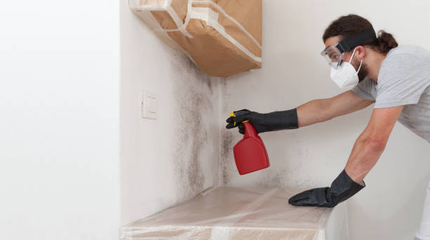 Professional Mold Cleanup technician working in Flower Mound, TX
